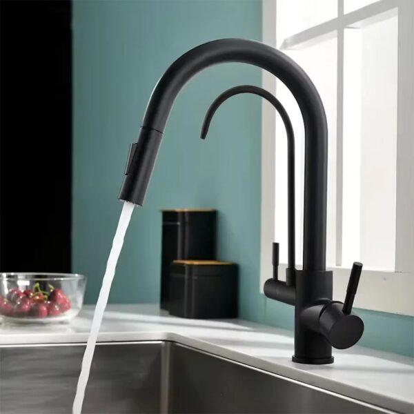 Virtuvinis maišytuvas REA ECO Fresh Black - Image 2